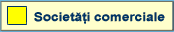 Societati comerciale